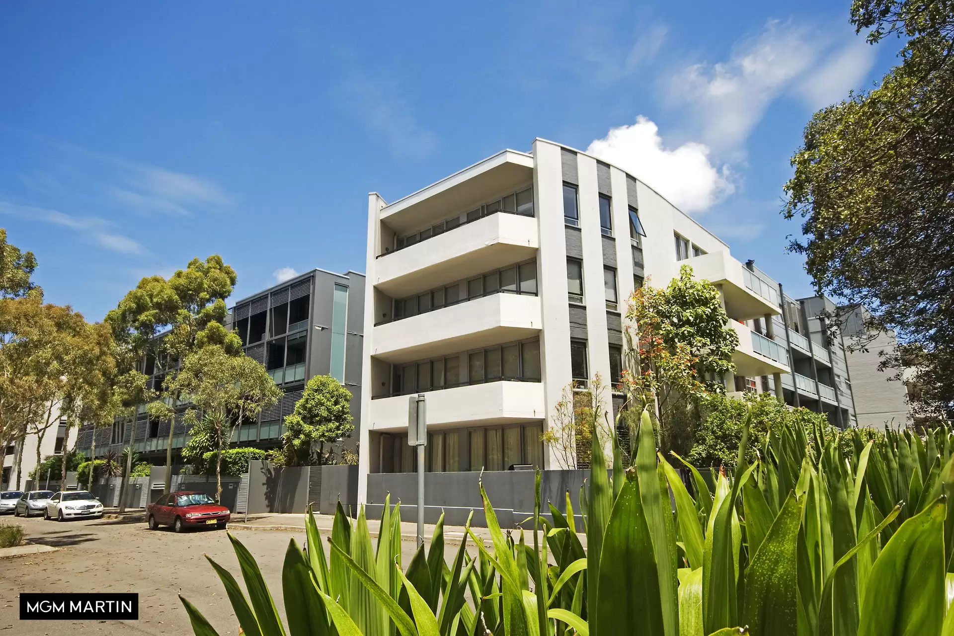 8/1 Leyland Grove, Zetland Leased by MGM Martin - image 1