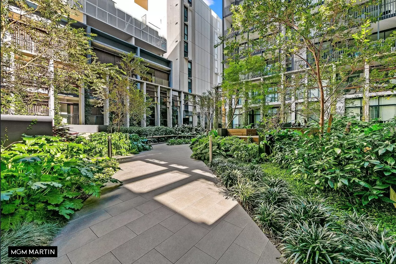 207/6 Paul Street, Zetland Sold by MGM Martin - image 1