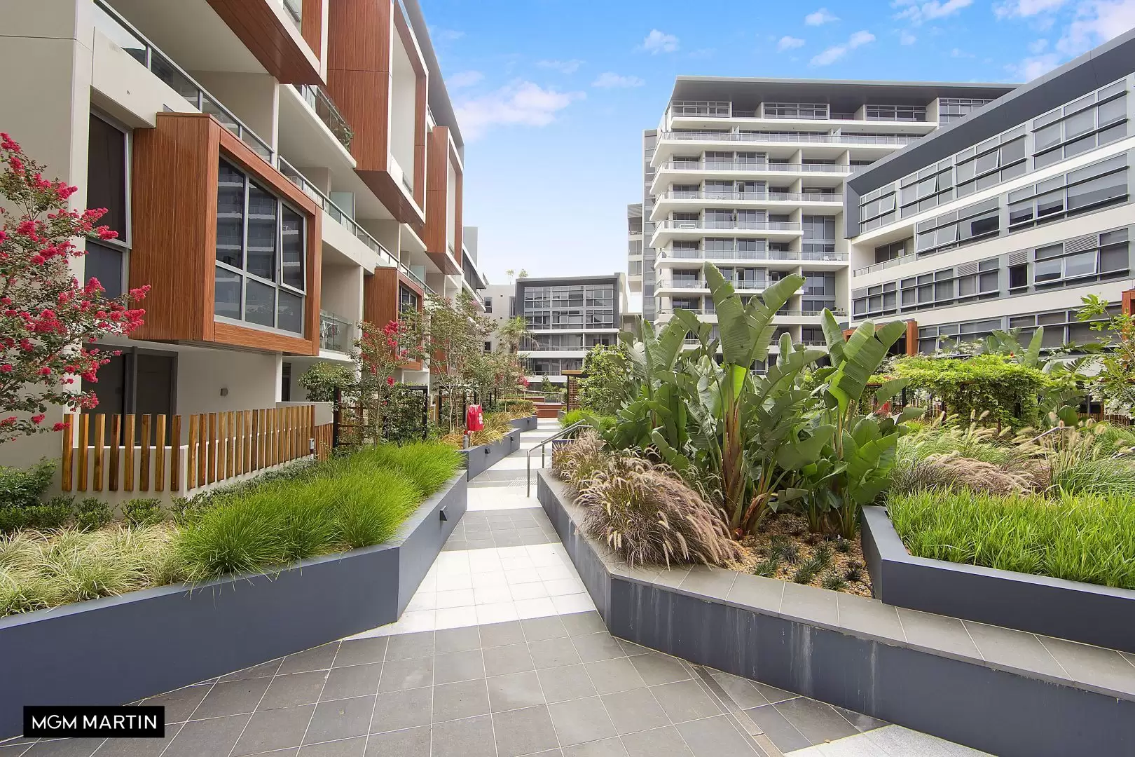212/23 Archibald Avenue, Waterloo Leased by MGM Martin - image 1